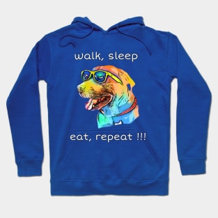 walk, sleep, eat, repeat !!! Hoodie